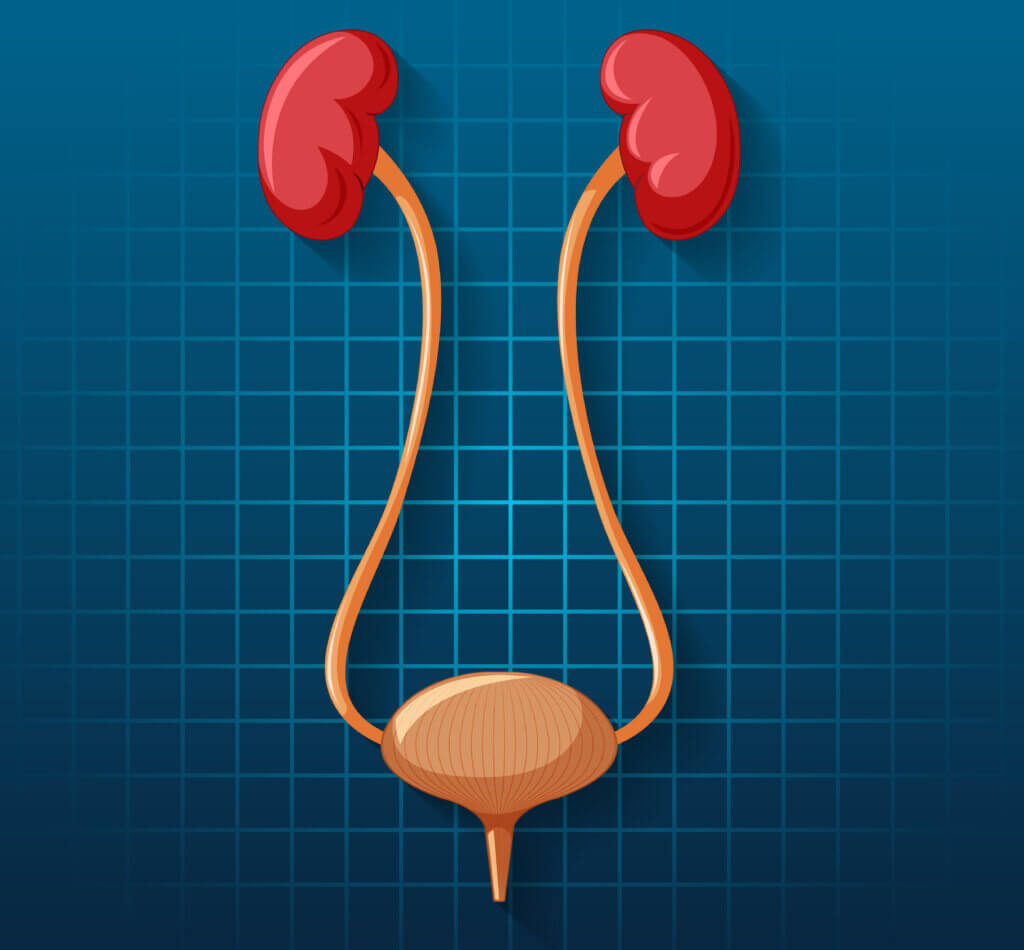 MKM STONE, UROLOGY AND LAPAROSCOPY HOSPITAL