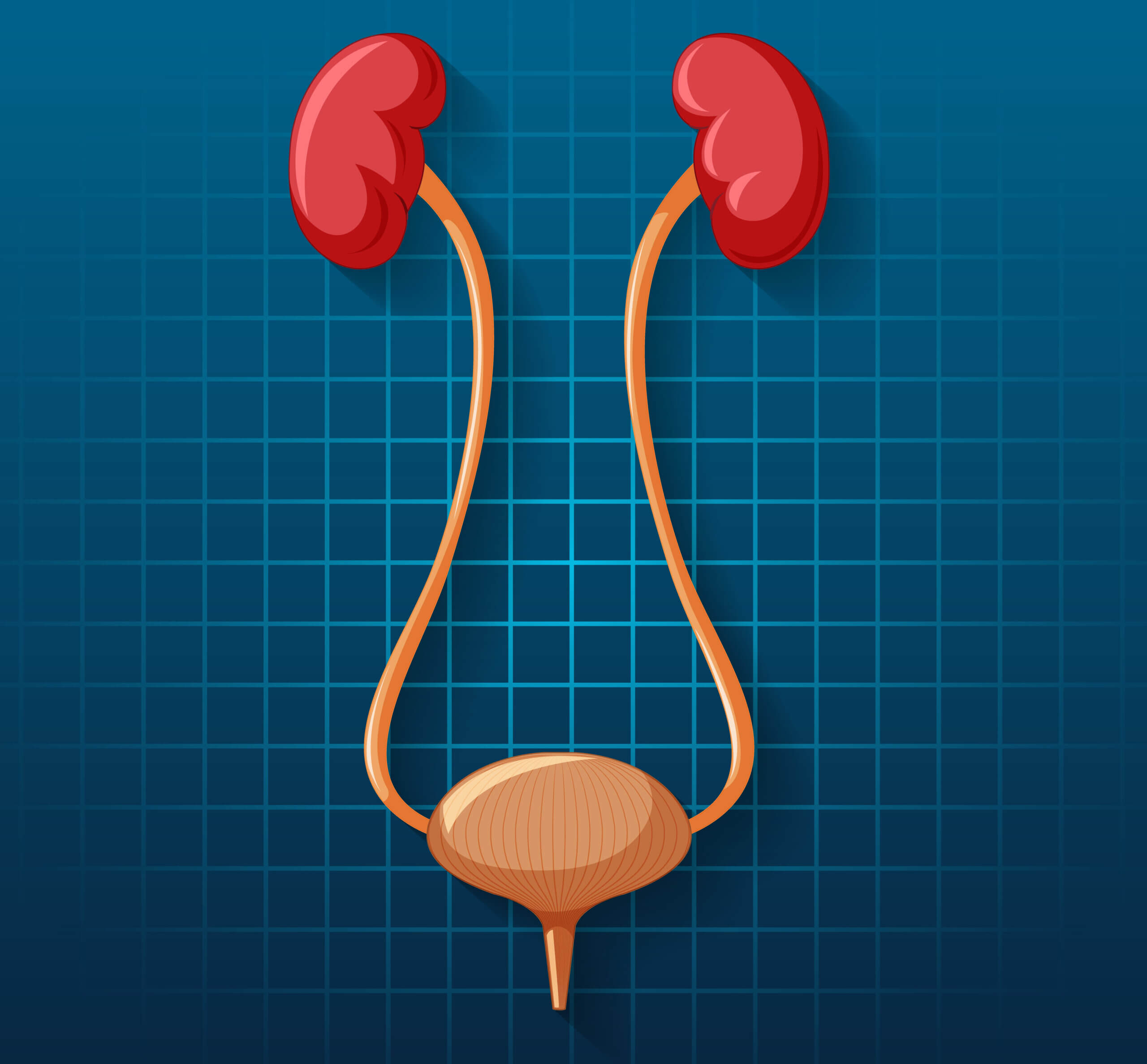 Ureteric Procedures